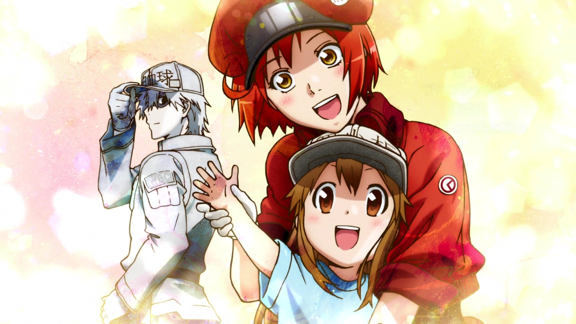 Anime Talk Hataraku Saibou คุณภาพที่เหนือกว่า